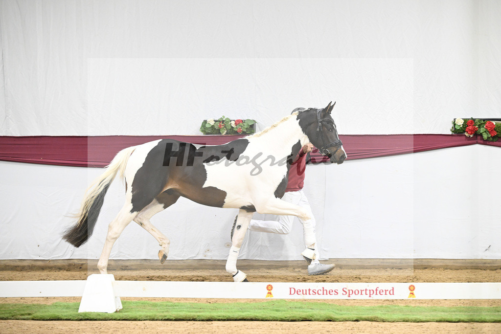 Kat-Nr. 117 Classic Deluxe x Don Martillo_Horst Schepper_47254020 | hf-fotografie - Realisiert mit Pictrs.com