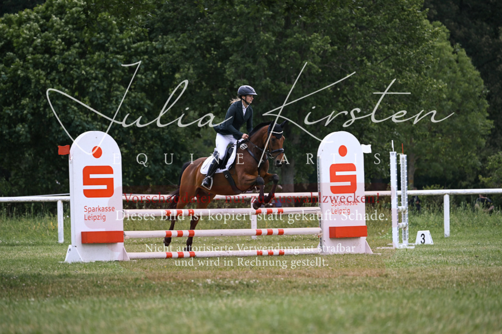 DSC_9141 | Pferde- und Turnierfotografie in Westsachsen. Pferdeportraits, Auftragszeichnungen und intuitive Kunst.