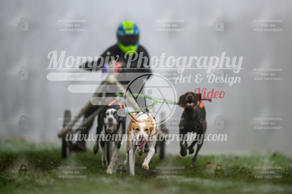 MompixPhotography_CDF2023_FFST_Di_Kart-23 | PayLife