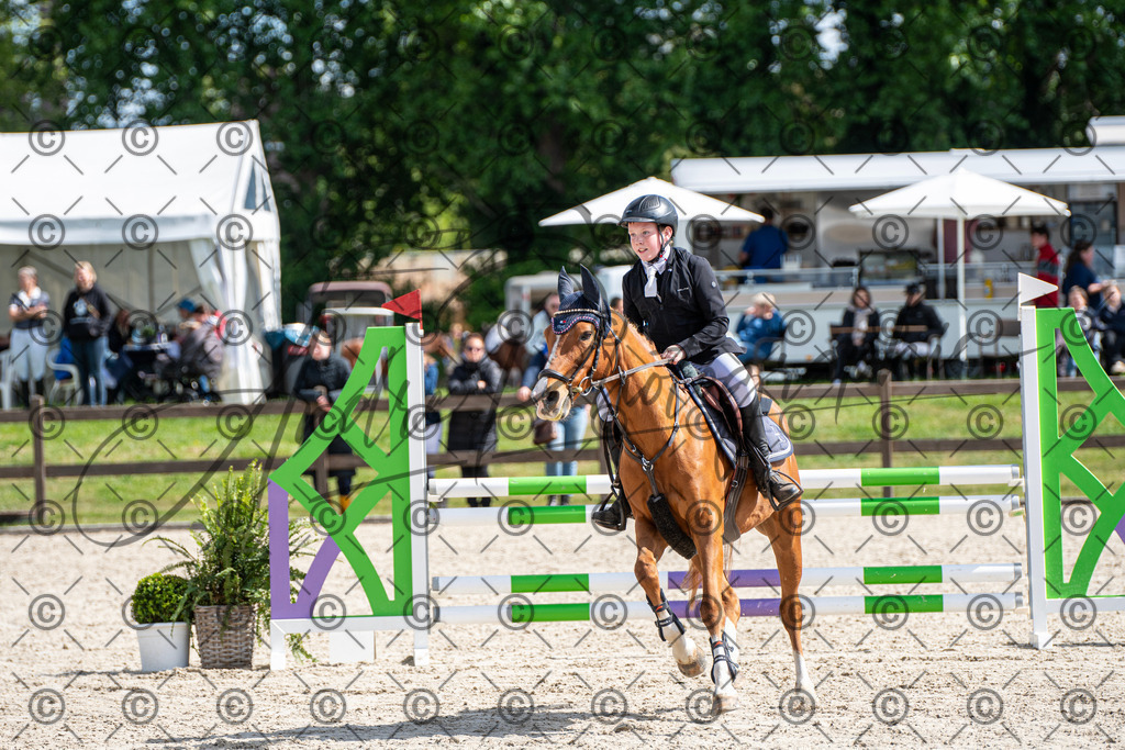 KPT_5098 | andre_photographic