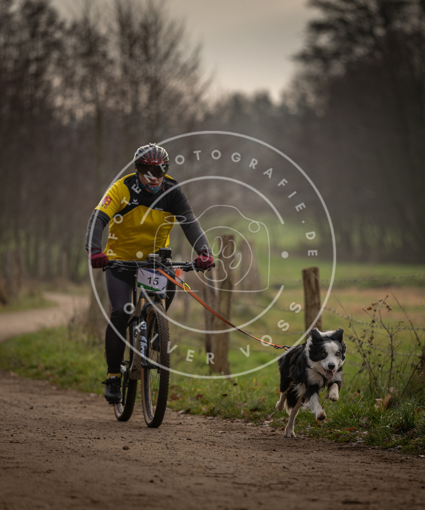Pfotenfotografie_DV3A1839 | Hundefotografie, Tierfotograf, Pfotenfotografie, Fotoshooting Hund, Hunde Portrait, Hundesport, Hundeportraits, Heideshooting, Hunde, Sportfotograf, Hundefotograf, Turnierhundsport, THS,  - Realisiert mit Pictrs.com