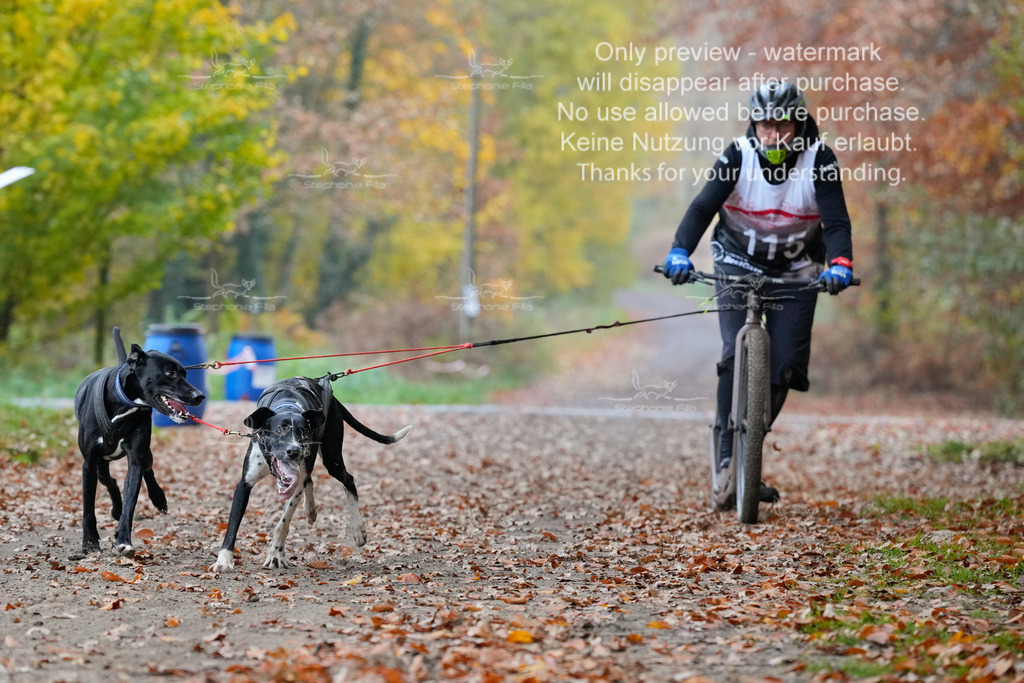 ScooterRigs2dogs_So-2 | stephaniefillaphotographie - Realisiert mit Pictrs.com