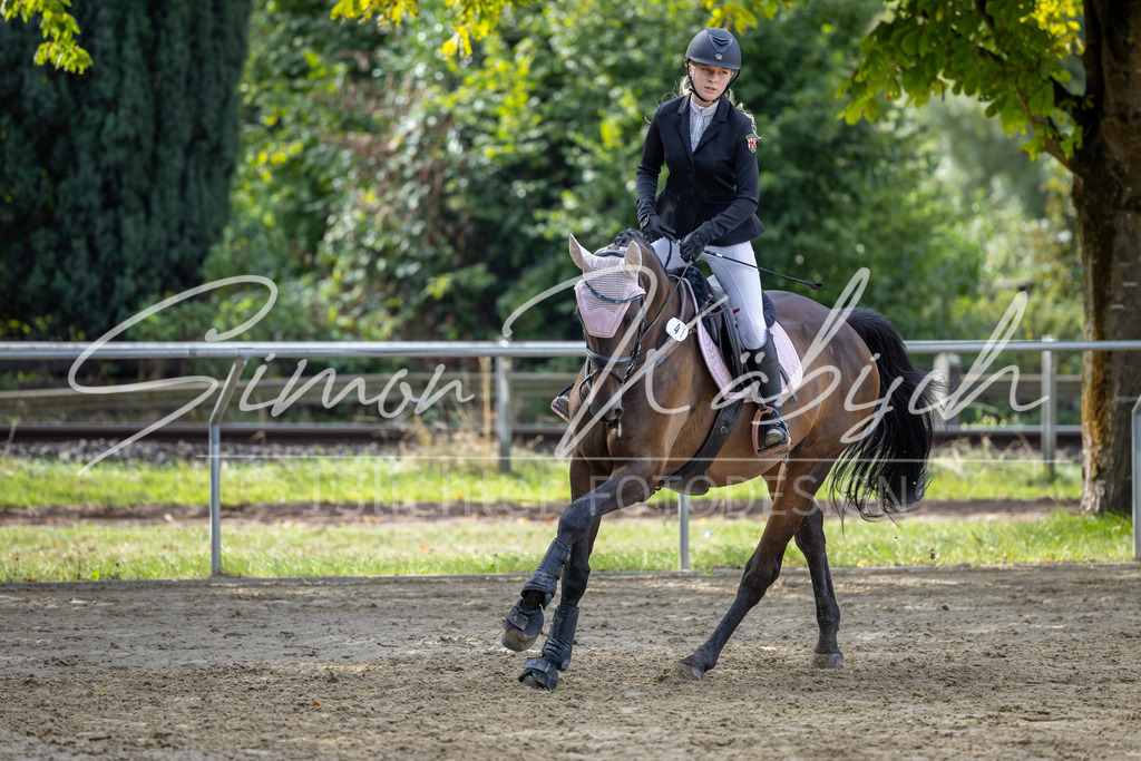 20260905-_3LI7128 | Tierfotografie Pferde, Hunde, Katzen, Haustiere.
Turnierfotografie Reitturniere, Reiten, Springreiten, Dressur in Hanau, dem Main-Kinzig-Kreis und dem Rhein-Main- Gebiet um Frankfurt