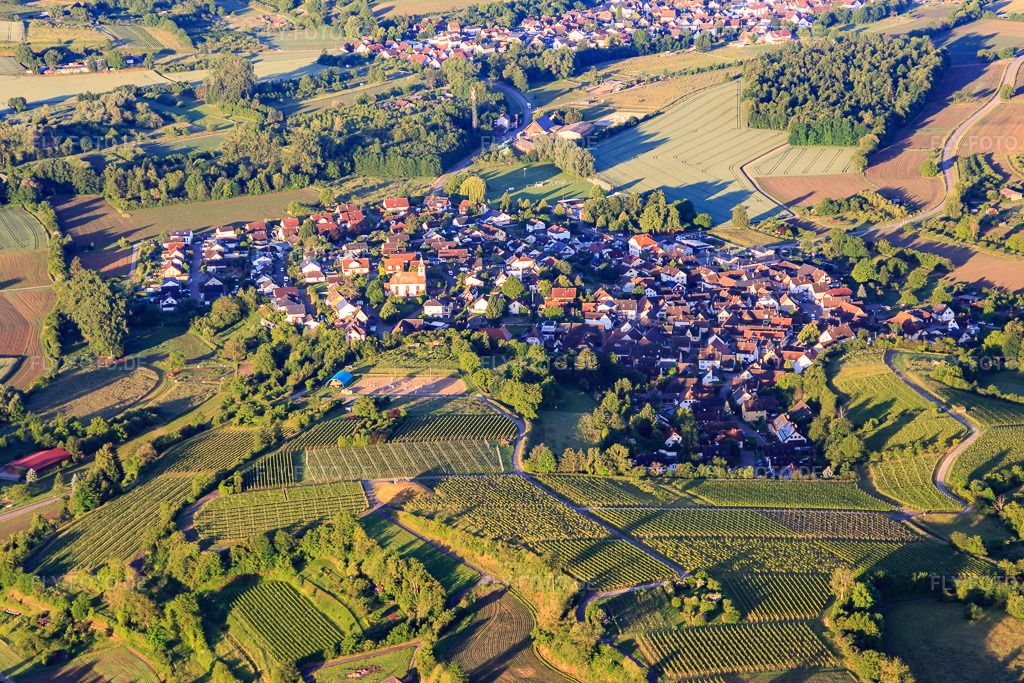 Luftbild: Winzerdorfansicht aus Norden im Ortsteil Tutschfelden in Herbolzheim im Bundesland Baden-Württemberg in Deutschland. Foto: IMG_147516.jpg vom 30.05.2025 durch Werner Riehm/FLY-FOTO.de