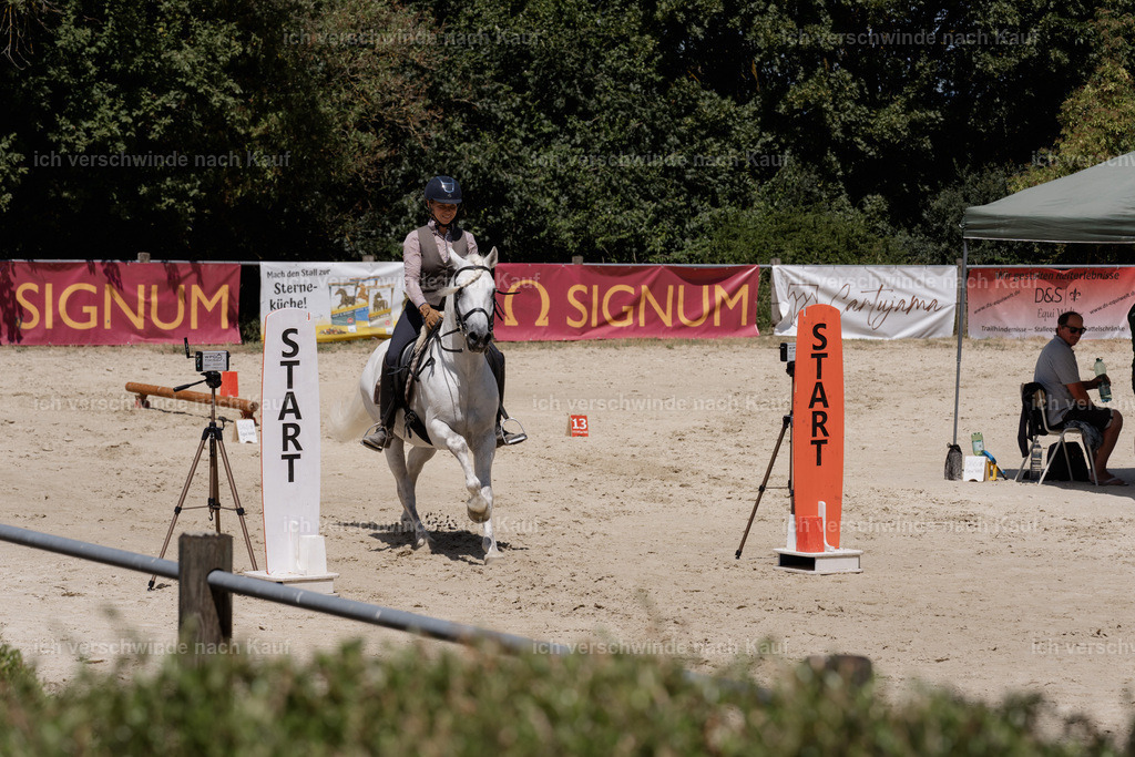 WM_SP_28_SinaFilmArt_IN07406 | working equitationturnier fotograf videograf stoibphotography marixx film working equitation deutschland reitsport turnierfotografie eventfotografie equestrian events