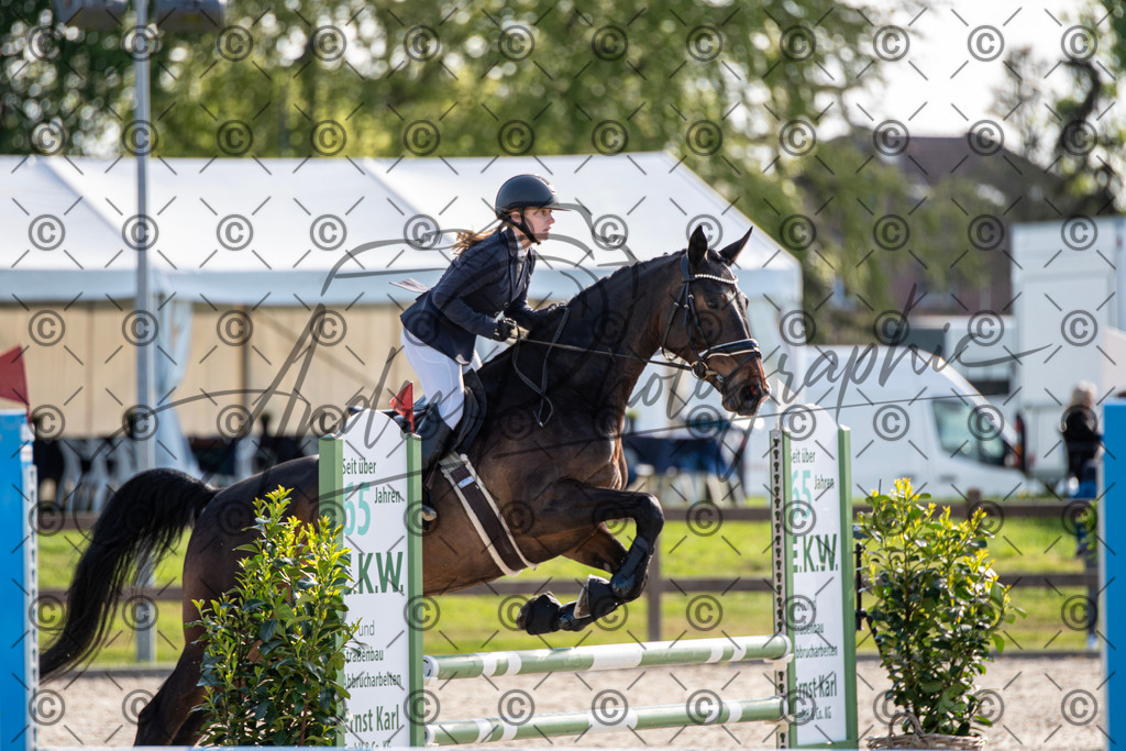 KPT_4447 | andre_photographic