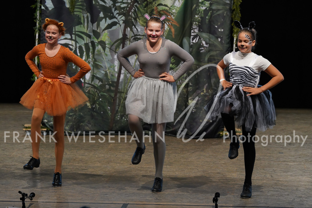 steppdm22_3897 | FRANK WIESEHAHN MEDIA - Realisiert mit Pictrs.com