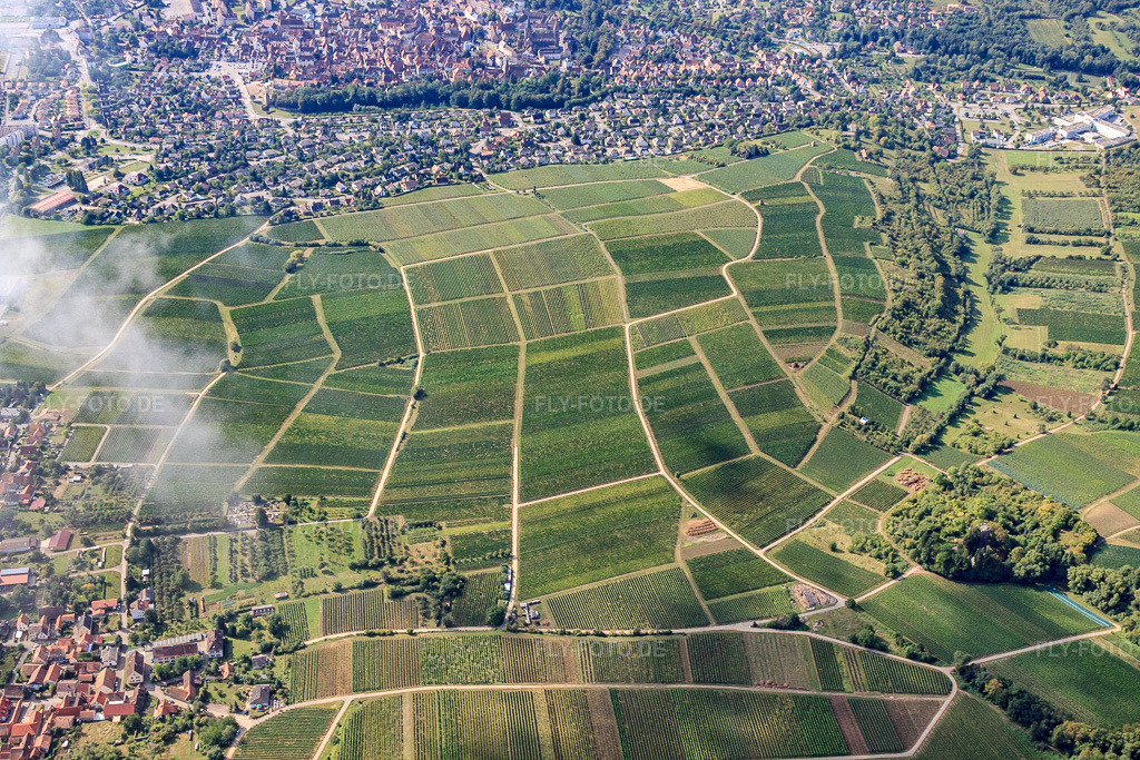 Luftbild: Weinlage Sonnenberg in Frankreich im Ortsteil Schweigen in Schweigen-Rechtenbach im Bundesland Rheinland-Pfalz in Deutschland. Foto: IMG_21000.jpg vom 06.09.2009 durch Werner Riehm/FLY-FOTO.de