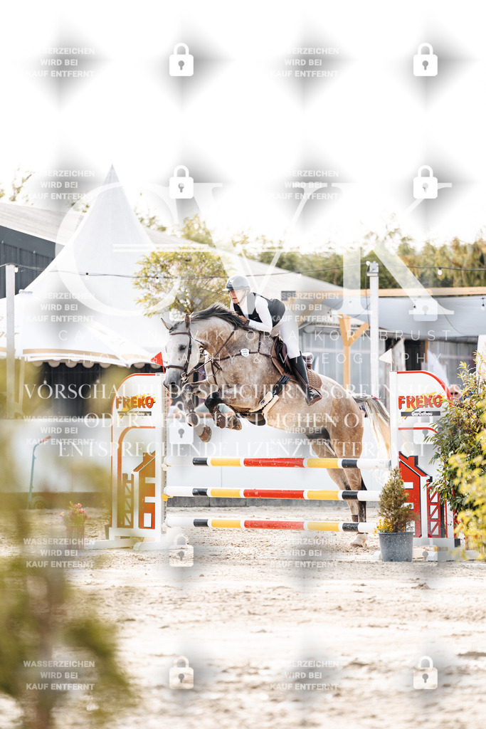 CK906722 | Turnierfotografie Pferdefotografie Trier Rheinland-Pfalz Pferdesport Reitsport Tierfotografie Sportfotografie Pferdevideo Pferdevideografie Equestrianvideography equestrianphotography  - Realisiert mit Pictrs.com