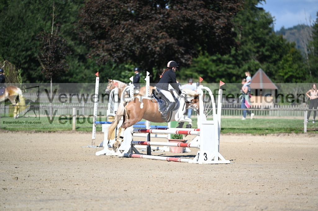 DSC_8124 | equestrian-live-com