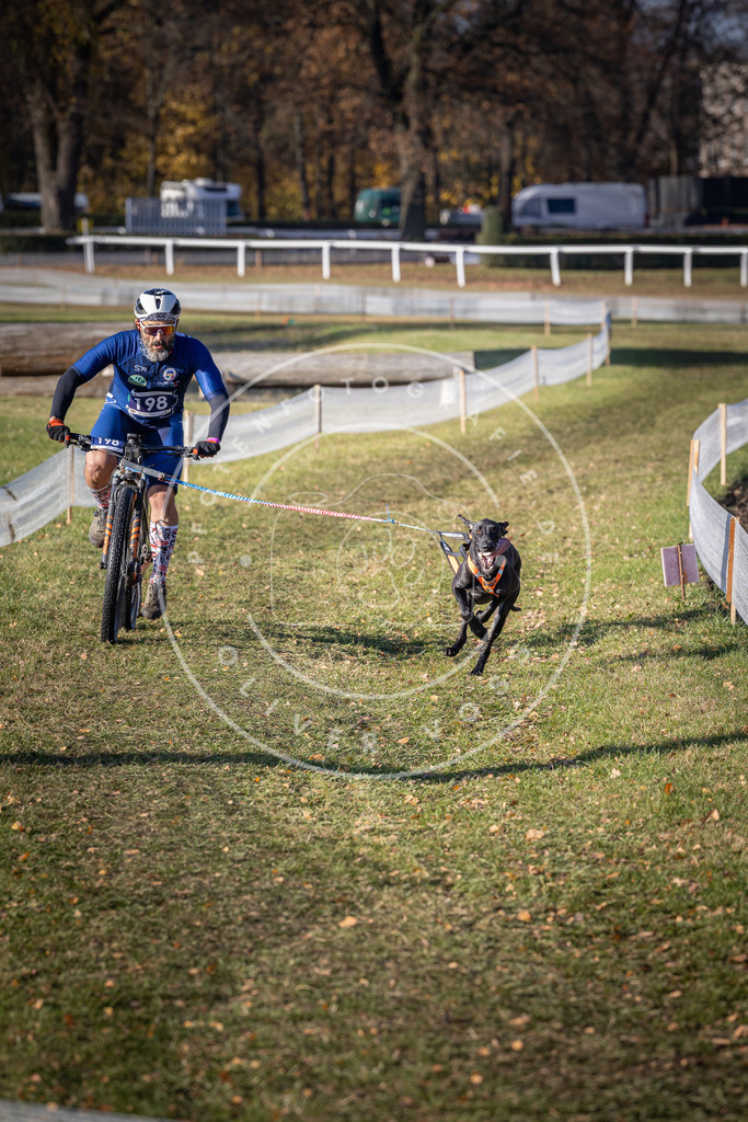 CaniXpix_DV3A2642 | Hundefotografie, Tierfotograf, Pfotenfotografie, Fotoshooting Hund, Hunde Portrait, Hundesport, Hundeportraits, Heideshooting, Hunde, Sportfotograf, Hundefotograf, Turnierhundsport, THS,  - Realisiert mit Pictrs.com