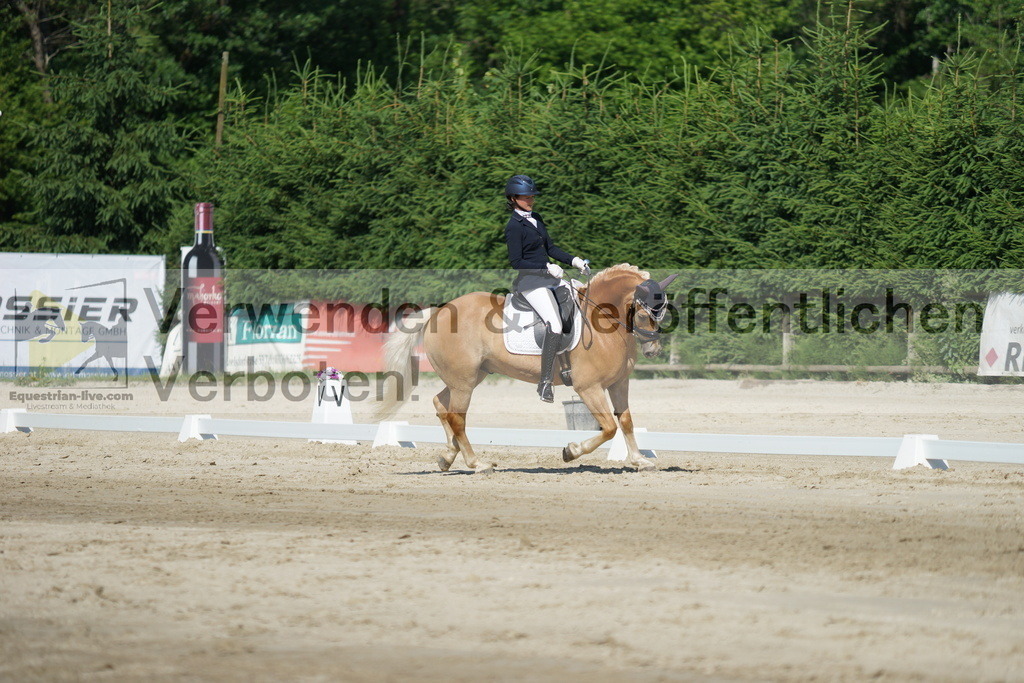 DSC02962 | equestrian-live-com