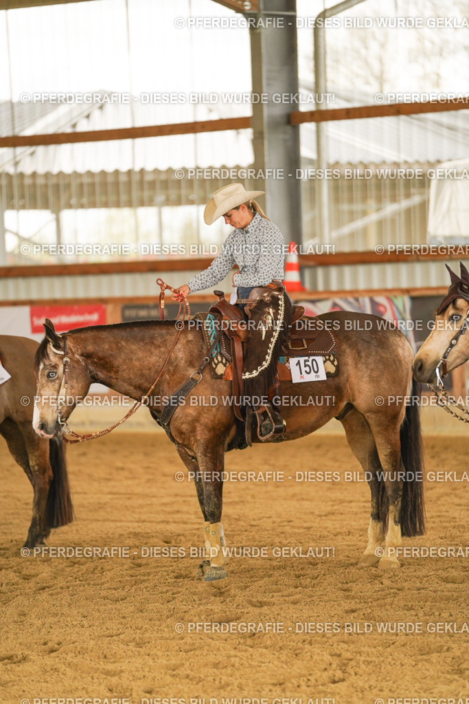 DSC08461 | Pferdegrafie