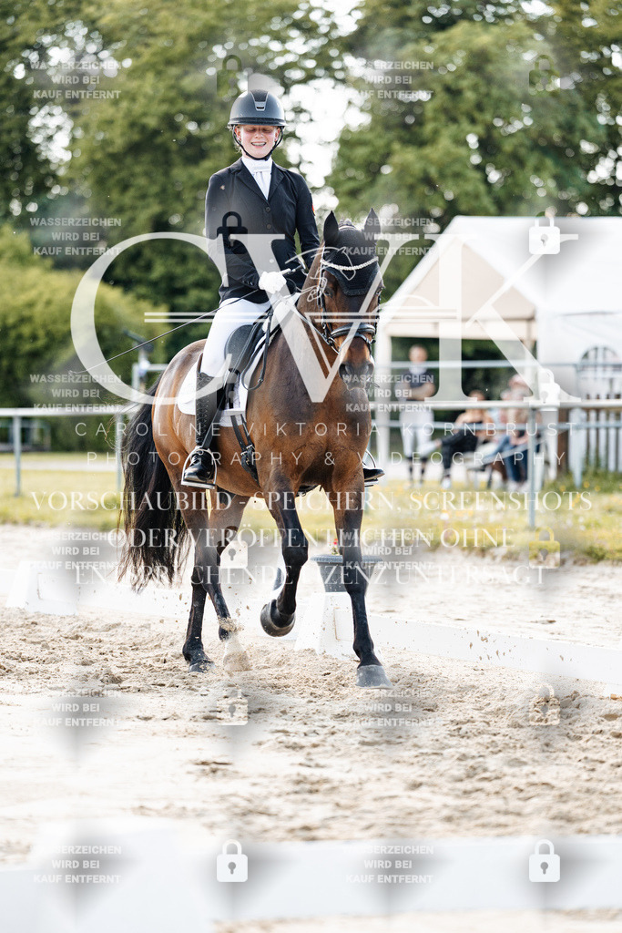 CK909574 | Turnierfotografie Pferdefotografie Trier Rheinland-Pfalz Pferdesport Reitsport Tierfotografie Sportfotografie Pferdevideo Pferdevideografie Equestrianvideography equestrianphotography  - Realisiert mit Pictrs.com