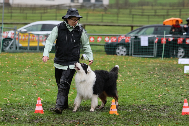 2025_Rally_Obedience_SM-251 | Ich fotografiere Hundeausstellungen, Sportanlässe, Zuchtstätten, Hundezucht, Hundeportrait, Lagotto - Realisiert mit Pictrs.com