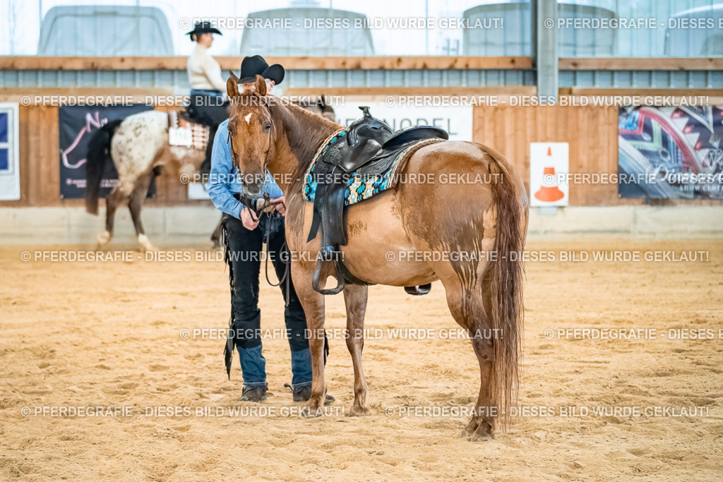 DSC00329 | Pferdegrafie