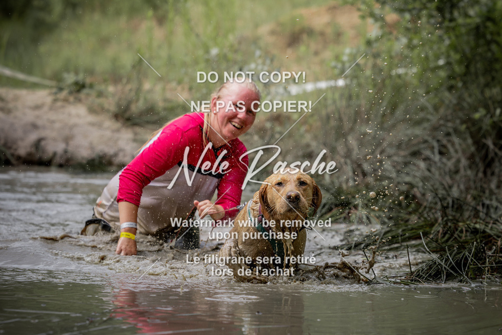 nelerasche_so0800-0930_36 | nelerasche