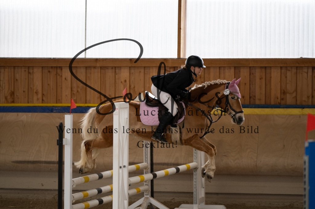 A7V00264 | Pferdefotograf