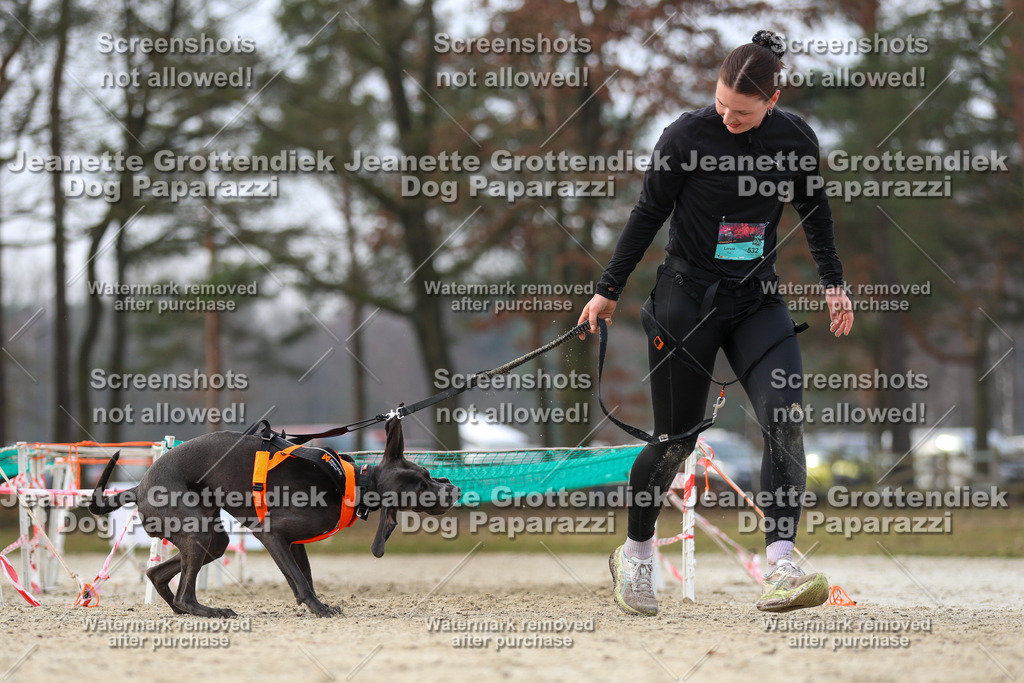 Dog Paparazzi - Strongdog North Mrz26-4419 | Dog Paparazzi Jeanette Grottendiek Fotografie & Videografie - Realisiert mit Pictrs.com
