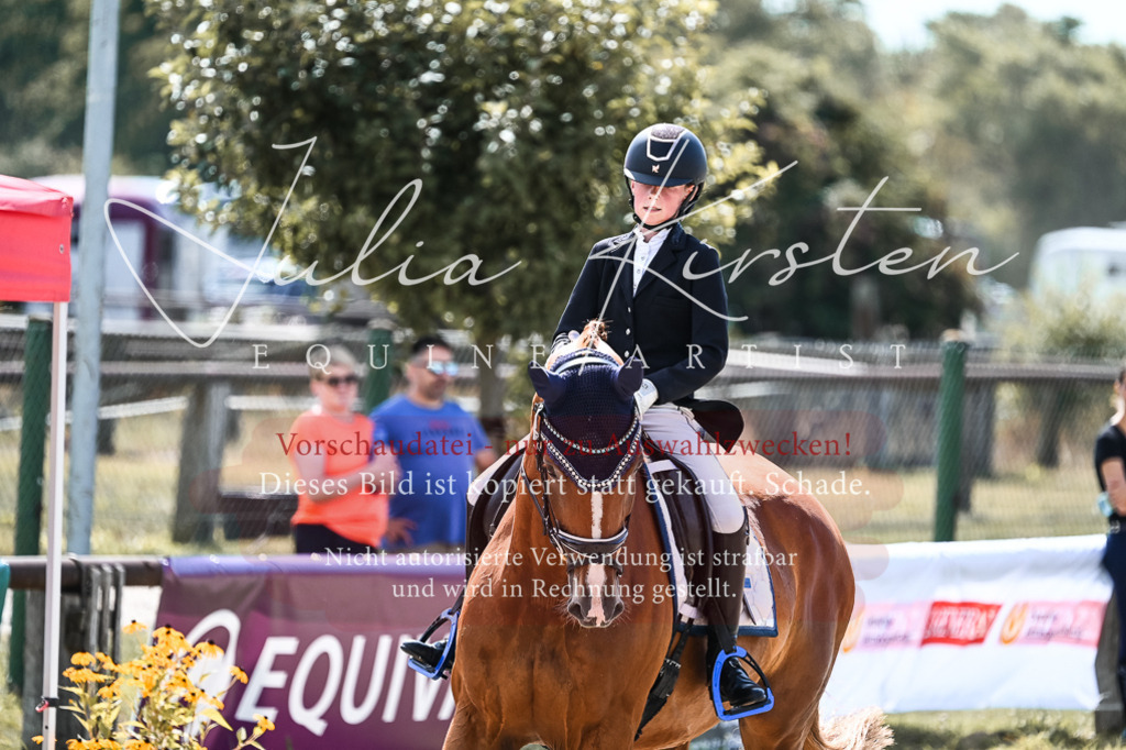 DSC_5107 | Pferde- und Turnierfotografie in Westsachsen. Pferdeportraits, Auftragszeichnungen und intuitive Kunst.