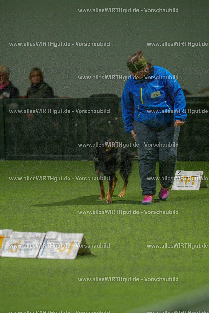 7R508705 | Professionelle Tierfotografie in Mönchengladbach von Daniel Wirth (allesWIRTHgut). Liebevolle & natürliche Bilder von Hunden & Katzen für unvergessliche Erinnerungen.