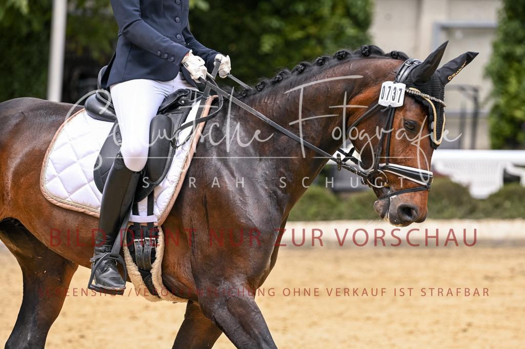 Schugtsche-Aluta25-55.Dressurreiterprf.L1Tr-155 | Schugtsche Fotografie - Realisiert mit Pictrs.com