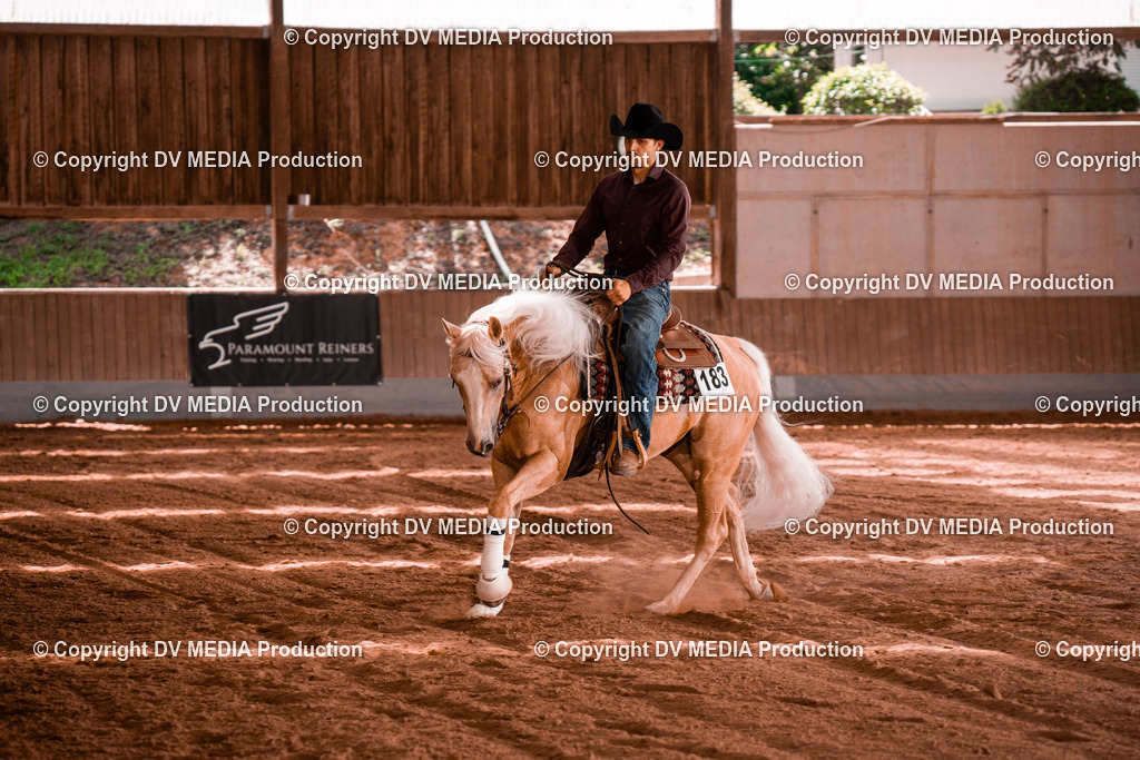 NE200864 | dv-media-shop - Realisiert mit Pictrs.com