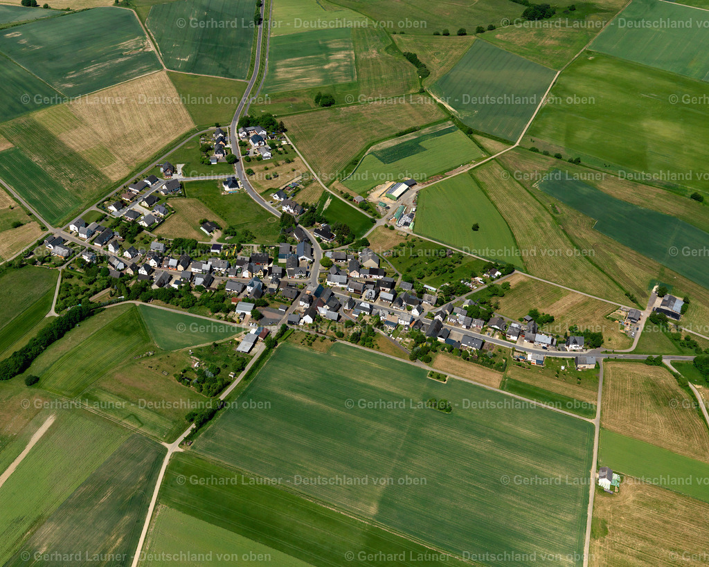 Haserich-3123082 | Haserich