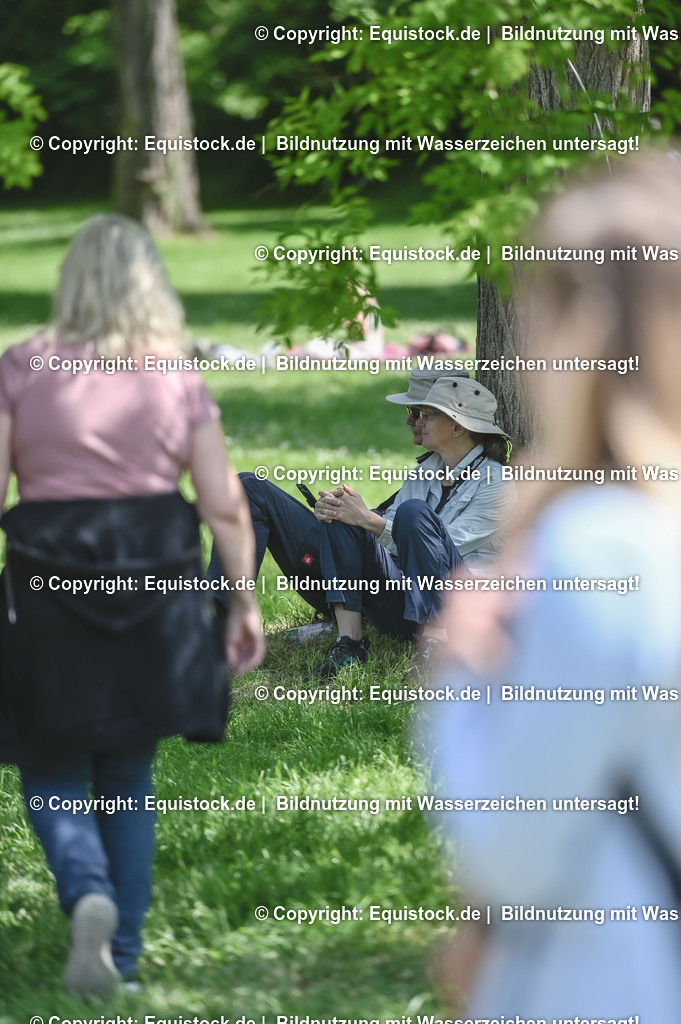 D78_2908 | equistock