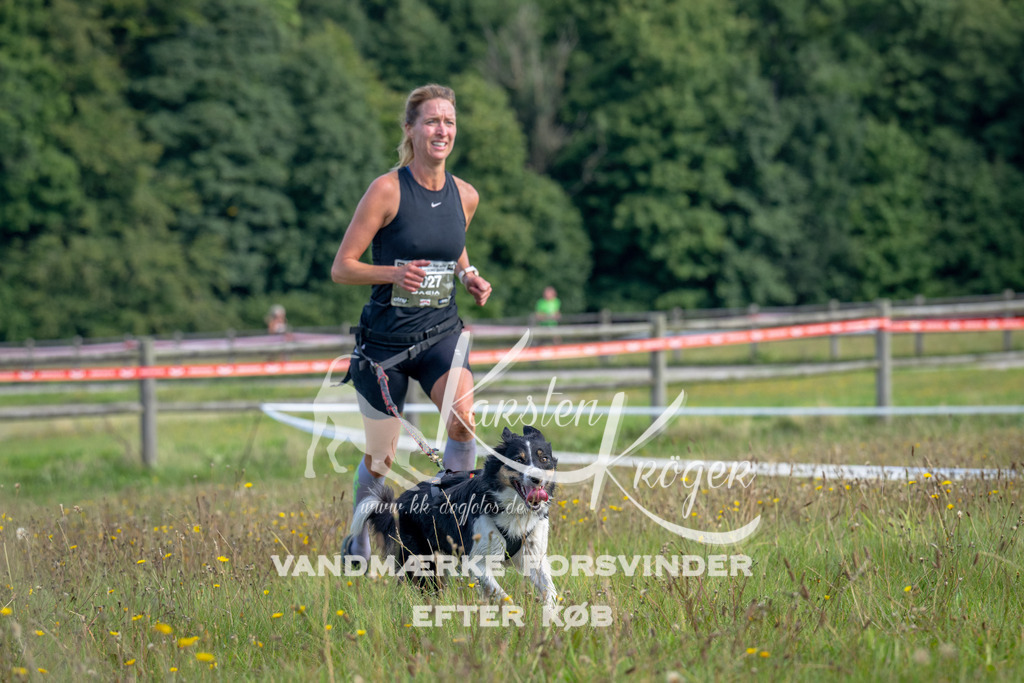 1127_ZZ92412 | kk-dogfotos