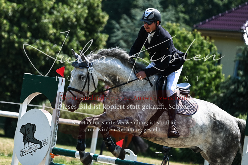 DSC_0026 | Pferde- und Turnierfotografie in Westsachsen. Pferdeportraits, Auftragszeichnungen und intuitive Kunst.