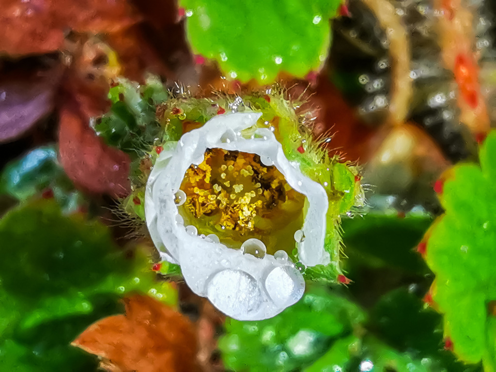 PSX_20230219_222605 | mtkfoto_ - Realisiert mit Pictrs.com