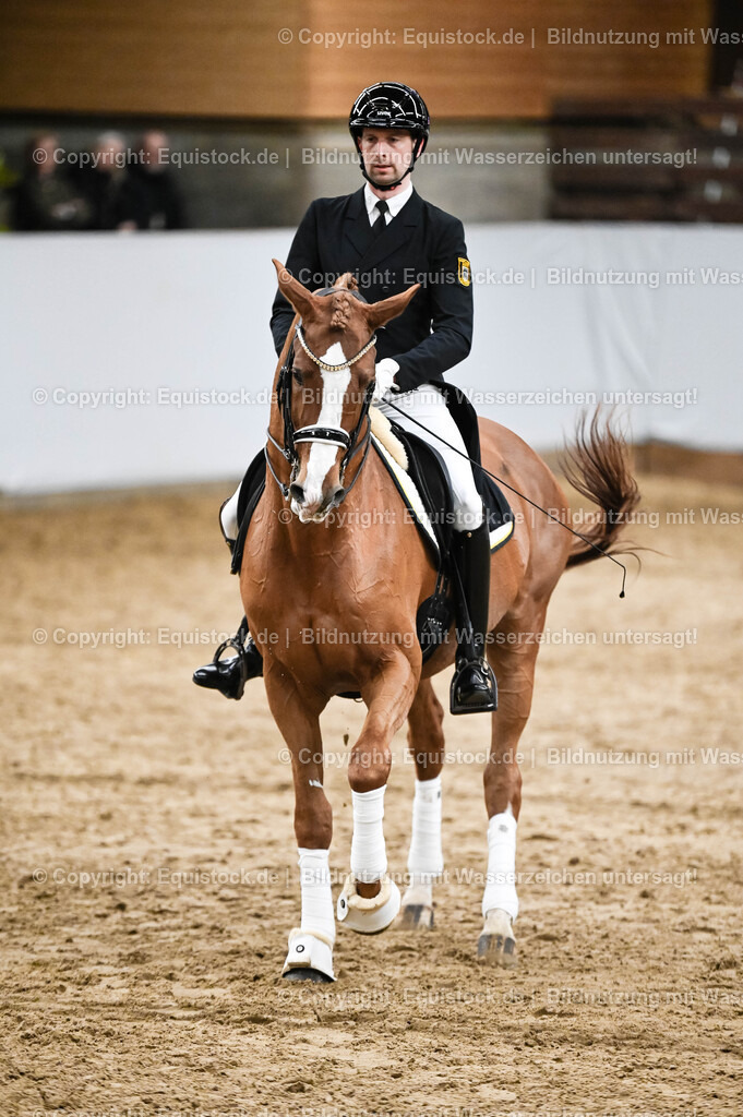 20260307_Hengstvorstellung-Marbach_0319 | equistock