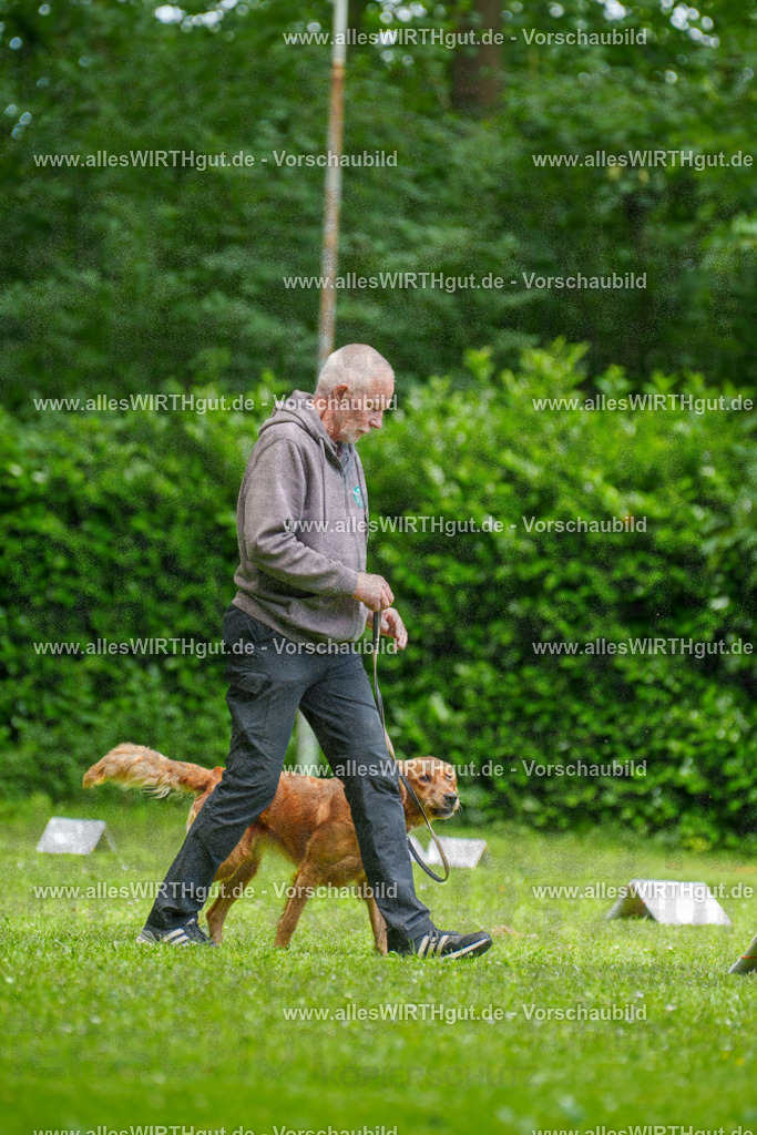 @allesWIRTHgut_Tierfotografie - www.allesWIRTHgut.de - 125608-7R509558 | Professionelle Tierfotografie in Mönchengladbach von Daniel Wirth (allesWIRTHgut). Liebevolle & natürliche Bilder von Hunden & Katzen für unvergessliche Erinnerungen.