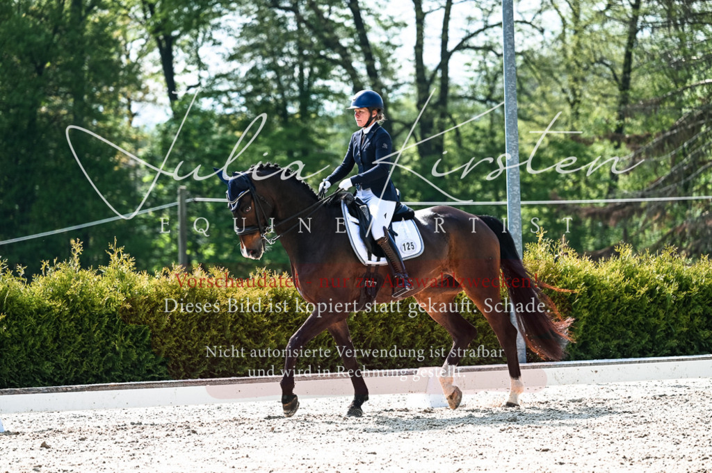 20230513_JK-Röhrsdorf-10-0431 | Pferde- und Turnierfotografie in Westsachsen. Pferdeportraits, Auftragszeichnungen und intuitive Kunst.