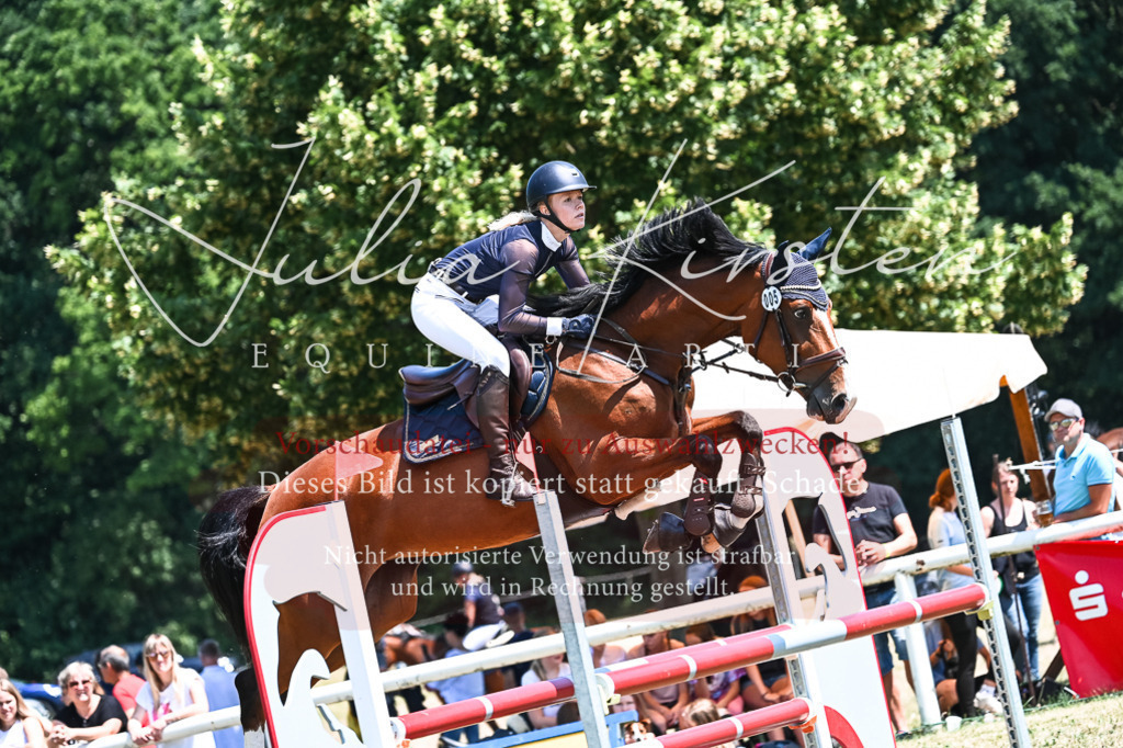 DSC_0182 | Pferde- und Turnierfotografie in Westsachsen. Pferdeportraits, Auftragszeichnungen und intuitive Kunst.