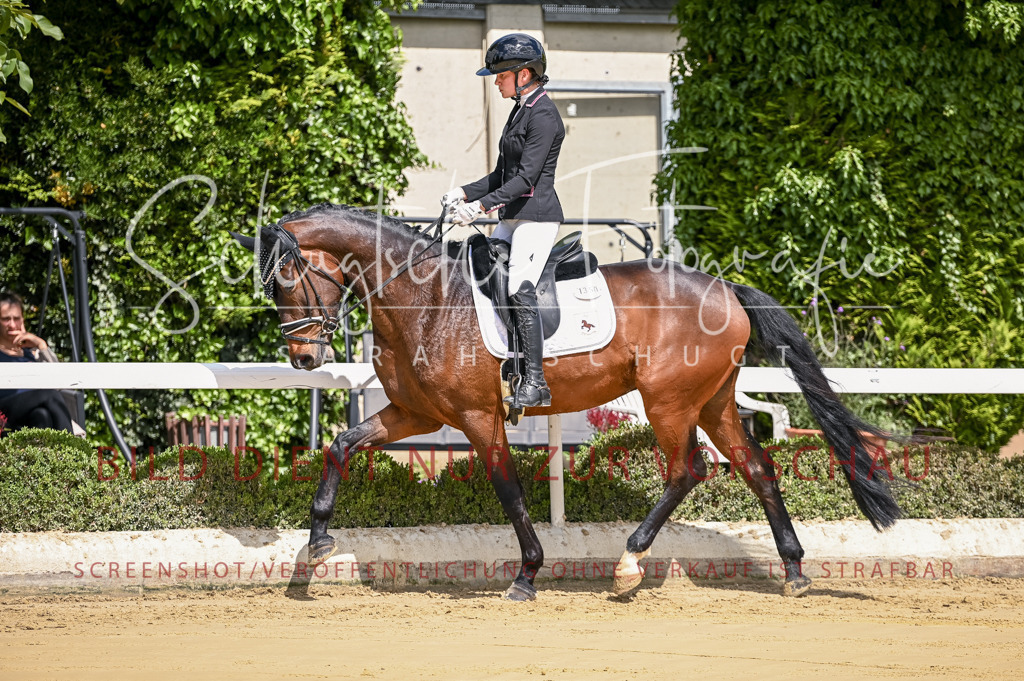 Schugtsche-Aluta25-48.Reitpferfdeprf.-28 | Schugtsche Fotografie - Realisiert mit Pictrs.com