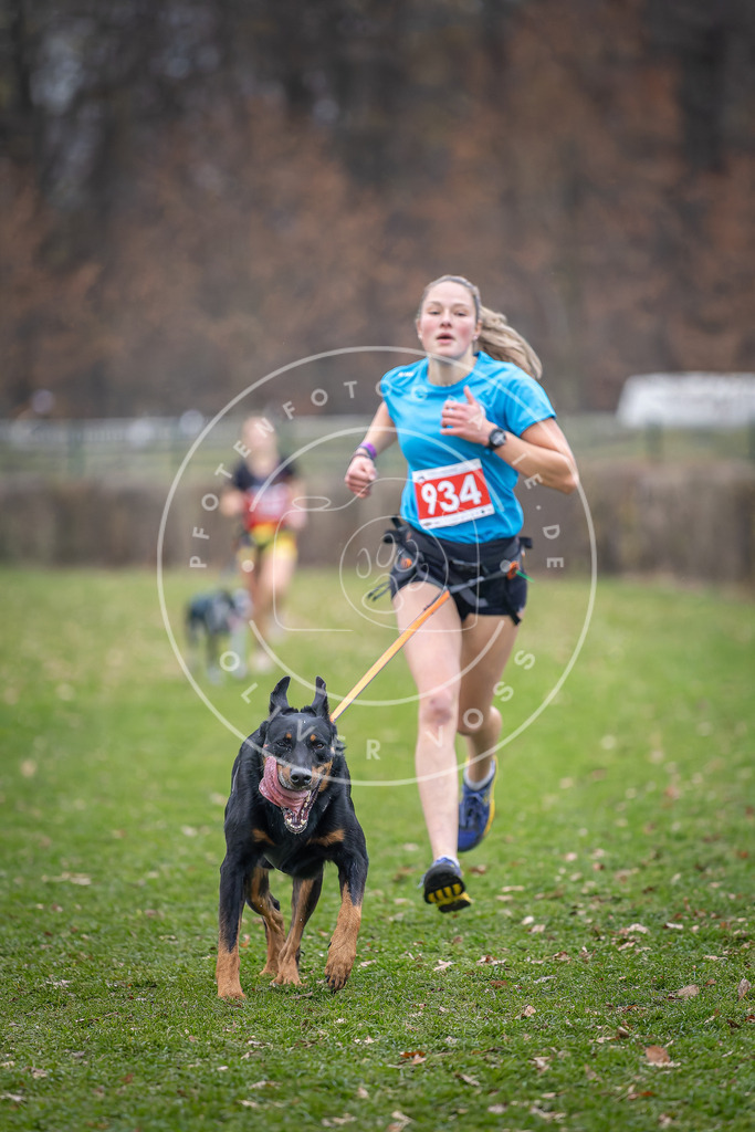 CaniXpix_DV3A7220 | Hundefotografie, Tierfotograf, Pfotenfotografie, Fotoshooting Hund, Hunde Portrait, Hundesport, Hundeportraits, Heideshooting, Hunde, Sportfotograf, Hundefotograf, Turnierhundsport, THS,  - Realisiert mit Pictrs.com