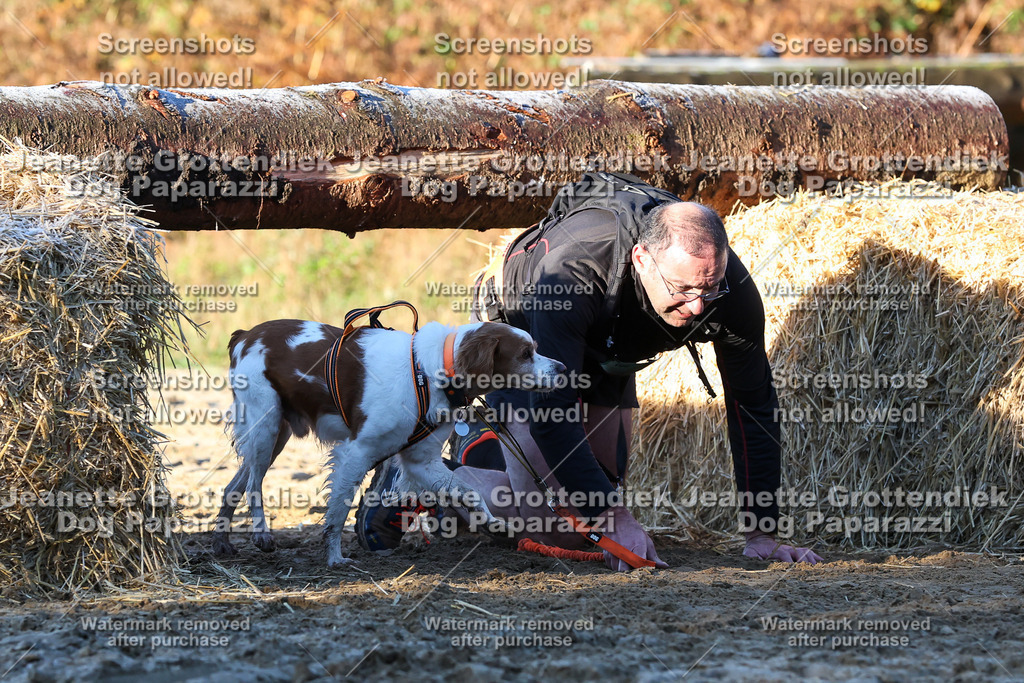 Dog Paparazzi - Strongdog 10-25-735 | Dog Paparazzi Jeanette Grottendiek Fotografie & Videografie - Realisiert mit Pictrs.com