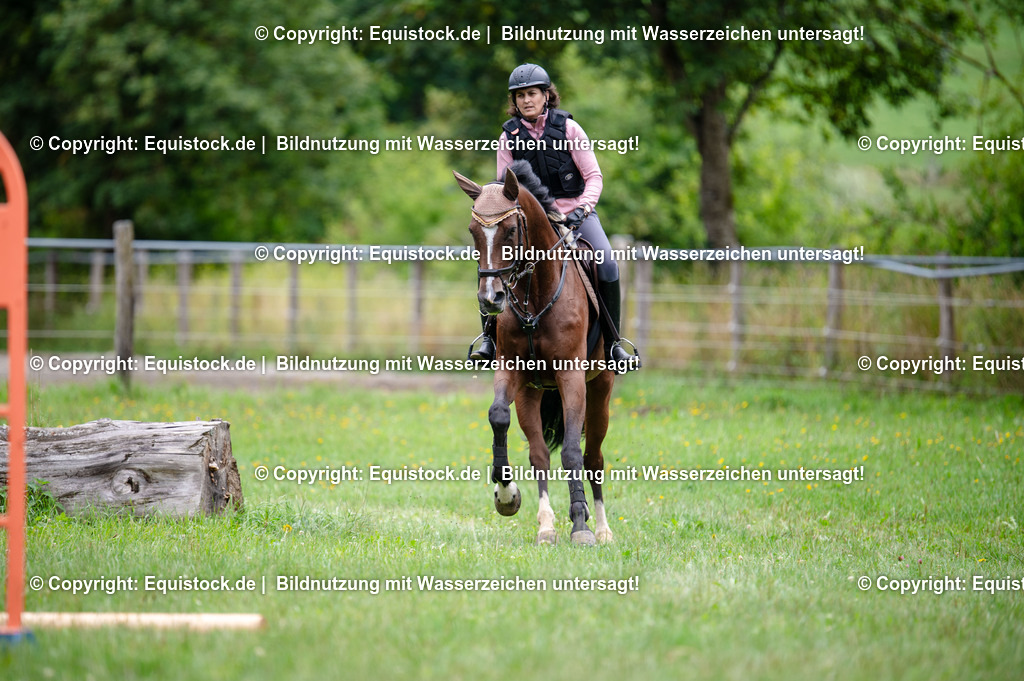 20250725_Vielseitigkeitslehrgang-Marbach_0304 | Foto: Thomas Hartig