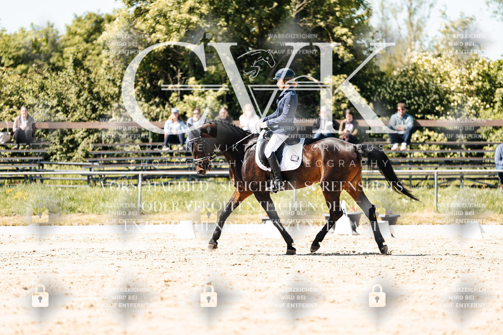 CK905322 | Turnierfotografie Pferdefotografie Trier Rheinland-Pfalz Pferdesport Reitsport Tierfotografie Sportfotografie Pferdevideo Pferdevideografie Equestrianvideography equestrianphotography  - Realisiert mit Pictrs.com