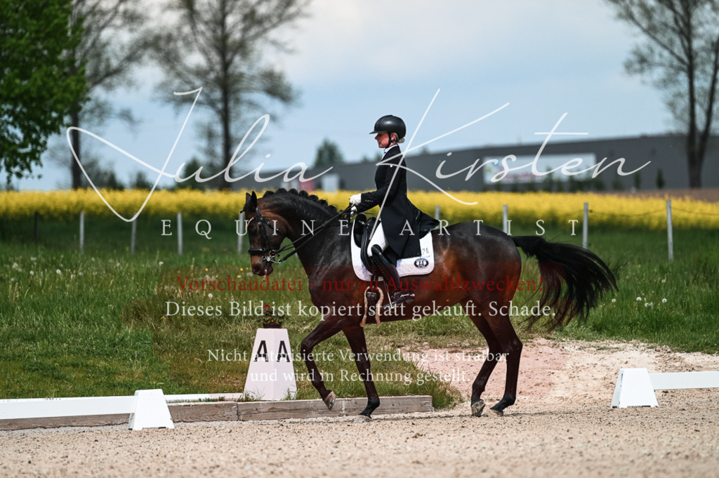 20230514_JK-Röhrsdorf-21-069 | Pferde- und Turnierfotografie in Westsachsen. Pferdeportraits, Auftragszeichnungen und intuitive Kunst.