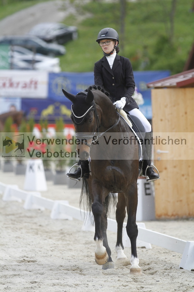 _MG_8388 | equestrian-live-com