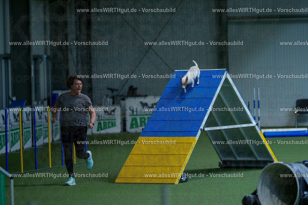 @allesWIRTHgut_Tierfotografie - www.allesWIRTHgut.de - 2604261447-7R503724 | Professionelle Tierfotografie in Mönchengladbach von Daniel Wirth (allesWIRTHgut). Liebevolle & natürliche Bilder von Hunden & Katzen für unvergessliche Erinnerungen.