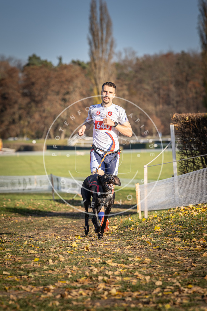 CaniXpix_DV3A0298 | Hundefotografie, Tierfotograf, Pfotenfotografie, Fotoshooting Hund, Hunde Portrait, Hundesport, Hundeportraits, Heideshooting, Hunde, Sportfotograf, Hundefotograf, Turnierhundsport, THS,  - Realisiert mit Pictrs.com