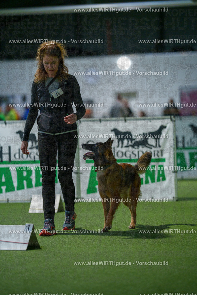 7R505587 | Professionelle Tierfotografie in Mönchengladbach von Daniel Wirth (allesWIRTHgut). Liebevolle & natürliche Bilder von Hunden & Katzen für unvergessliche Erinnerungen.