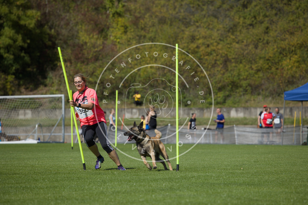 0L8A6514 | Hundefotografie, Tierfotograf, Pfotenfotografie, Fotoshooting Hund, Hunde Portrait, Hundesport, Hundeportraits, Heideshooting, Hunde, Sportfotograf, Hundefotograf, Turnierhundsport, THS,  - Realisiert mit Pictrs.com