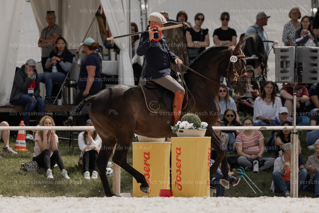 WE_ST_Stoib_320_PI2025_1102 | Pferd International München 2025