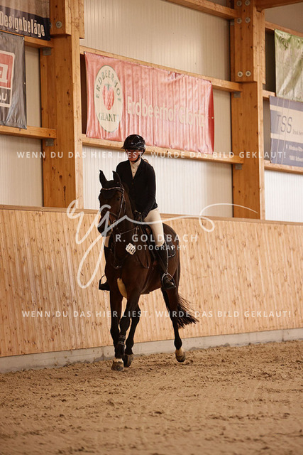 1J2A2729Hanna Nagel_ Rewell 2_ Kn441_ Hohen Wieschendorf_ Glantz | Foto- und Videografie für alles rund ums Pferd. Hochwertige Bilder und Videos vom Spring- und Dressurreiten, Voltigieren & mehr. Jetzt aktuelle Veranstaltungen und Preise im Shop ansehen. - Realisiert mit Pictrs.com