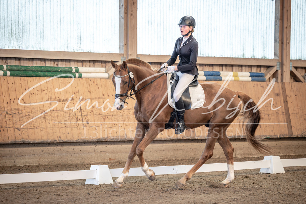 20251011-_3LI7127 | Tierfotografie Pferde, Hunde, Katzen, Haustiere.
Turnierfotografie Reitturniere, Reiten, Springreiten, Dressur in Hanau, dem Main-Kinzig-Kreis und dem Rhein-Main- Gebiet um Frankfurt